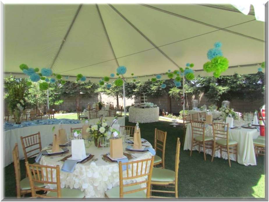 garden ideas on budget Baby Shower Decoration Ideas | 924 x 694